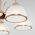 Потолочная люстра со стеклянными плафонами Eurosvet 30174/5 золото Shanon