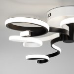 Потолочный светодиодный светильник с пультом управления Eurosvet 90149/3 белый/черный Friori