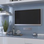 ТВ-розетка оконечная (серебряный) W1283006 Werkel