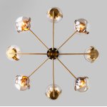 Потолочная люстра со стеклянными плафонами Eurosvet 70118/8 черный Creek