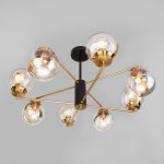 Потолочная люстра со стеклянными плафонами Eurosvet 70118/8 черный Creek