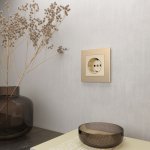 Рамка на 1 пост (шампань алюминий) W0011711 Werkel