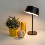 Современный светильник Eurosvet 80424/1 черный Apollo