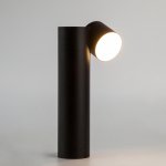Современный светильник Eurosvet 80425/1 черный Premier