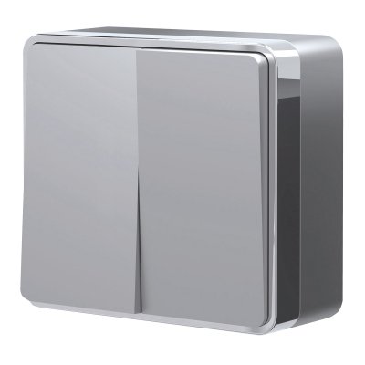 

Выключатель двухклавишный Gallant (серебряный) W5020006 Werkel, W5020006
