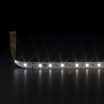 Светодиодная лента Лента светодиодная 24V 4,8W 60Led 2835 IP20 дневной белый, 5м Elektrostandard