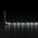 Светодиодная лента Лента светодиодная 24V 4,8W 60Led 2835 IP20 холодный белый, 5м Elektrostandard