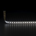 Светодиодная лента Лента светодиодная 24V 9,6W 120Led 2835 IP20 дневной белый, 5м Elektrostandard