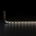 Светодиодная лента Лента светодиодная 24V 14,4W 60Led 5050 IP20 теплый белый, 5м Elektrostandard