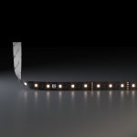 Светодиодная лента Лента светодиодная 24V 14,4W 60Led 5050 IP20 тёплый белый, Black, 5м Elektrostandard