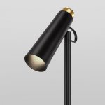 Напольный светодиодный светильник Eurosvet Joel 80430/1 черный/золото