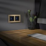 Розетка с подсветкой (черный) Werkel W1171408