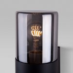 Уличный настенный светильник Roil чёрный/дымчатый плафон IP54 35125/D Elektrostandard