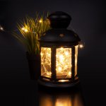 Гирлянда нить "Роса" теплый белый 5м IP20 400-007 Eurosvet