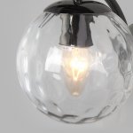 Настенный светильник с плафоном 30178/1 черный жемчуг Eurosvet Eden