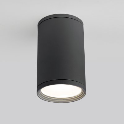 

Уличный потолочный светильник Light 2101 IP65 35128/H серый Elektrostandard