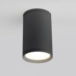 Уличный потолочный светильник Light 2101 IP65 35128/H серый Elektrostandard