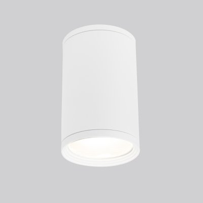 

Уличный потолочный светильник Light 2101 IP65 35128/H белый Elektrostandard