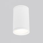 Уличный потолочный светильник Light 2101 IP65 35128/H белый Elektrostandard