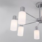 Потолочная люстра со стеклянными плафонами 70160/8 хром Eurosvet