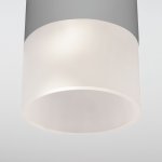 Уличный потолочный светильник Light LED 2106 IP54 35139/H серый Elektrostandard