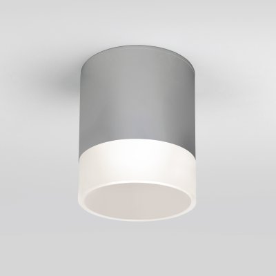 

Уличный потолочный светильник Light LED 2107 IP54 35140/H серый Elektrostandard, 35140/H