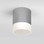 Уличный потолочный светильник Light LED 2107 IP54 35140/H серый Elektrostandard