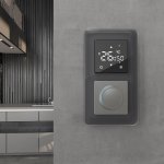 Рамка на 2 поста Elite (графит, стекло) Werkel W0022440