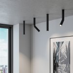 Pika 6W (25029/LED)/Светильник накладной черный 25029/LED Elektrostandard