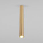 Pika 6W (25030/LED)/Светильник накладной золото 25030/LED Elektrostandard