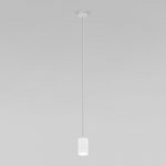 Светильник подвесной Eurosvet 50248/1 LED белый