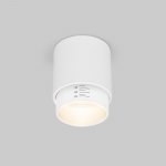 Светильник потолочный светодиодный Cors 10W (25032/LED) белый Elektrostandard