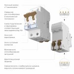 Автоматический выключатель 2P  16 A  C  4,5 кА Werkel W902P164