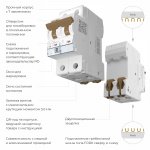 Автоматический выключатель 2P  50 A  C  4,5 кА Werkel W902P504
