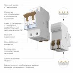 Автоматический выключатель 2P  63 A  C  4,5 кА Werkel W902P634