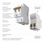 Автоматический выключатель 2P  10 A  C  6 кА Werkel W902P106