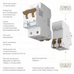 Автоматический выключатель 2P  32 A  C  6 кА Werkel W902P326