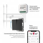 Выключатель двухклавишный с самовозвратом (черный матовый) Werkel W1122408