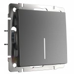 Выключатель одноклавишный с подсветкой (графит матовый) W1110164 Werkel