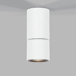 Светильник потолочный светодиодный 10W 4000K белый 25042/LED Elektrostandard