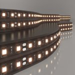 Лента светодиодная 120Led 9,6W IP20 3300K тёплый белый (2835 24V 120Led 9,6W IP20 Black) 2835 24V 120Led 9,6W IP20 Black Elektrostandard
