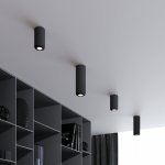 Светильник потолочный светодиодный 10W 4000K чёрный 25044/LED Elektrostandard