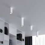 Светильник потолочный светодиодный 10W 4000K белый 25044/LED Elektrostandard