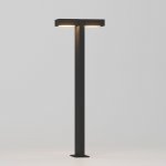 Светильник садово-парковый с поворотными плафонами Twin 35170/F черный Elektrostandard