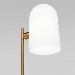 Настольная лампа Eurosvet 01164/1 латунь Bambola