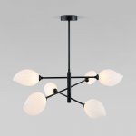 Подвесная люстра Eurosvet 30189/6 черный Sinki