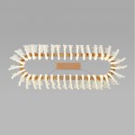 Подвесная люстра Bogate's 90376/1 Farfalla