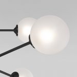 Потолочный светильник со стеклянными плафонами Eurosvet 50383 черный