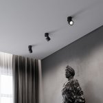 Светильник потолочный светодиодный Rolly 9W 4000K черный 25112/LED Elektrostandard