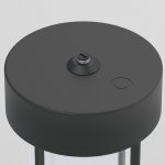 Переносной уличный светодиодный светильник Ritz черный 35183/S черный Elektrostandard